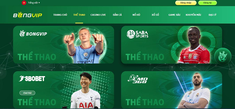 Tìm hiểu cách tải ứng dụng Yo88 nhanh chóng và an toàn trên điện thoại